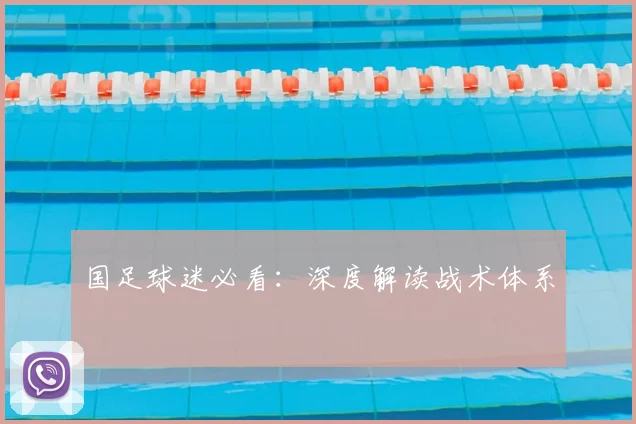 国足球迷必看:深度解读战术体系